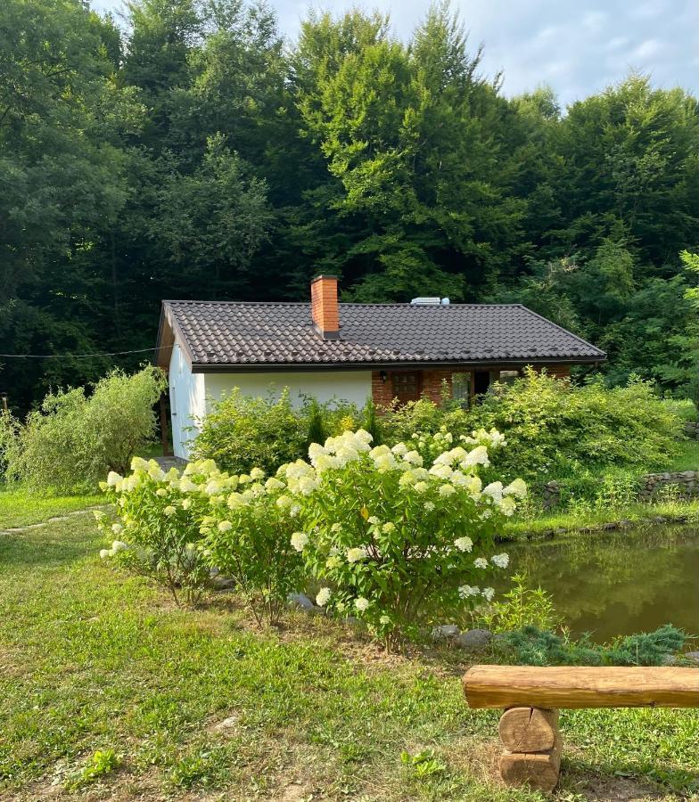 Holiday Home Usadba Novoselitsa Exteriör bild