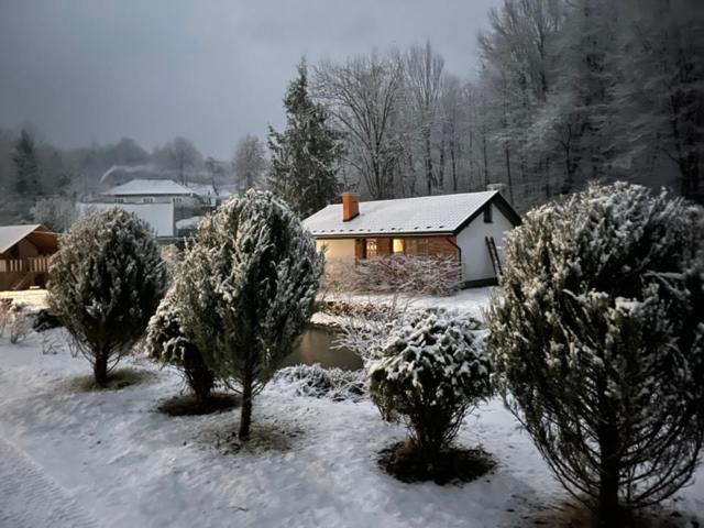 Holiday Home Usadba Novoselitsa Exteriör bild