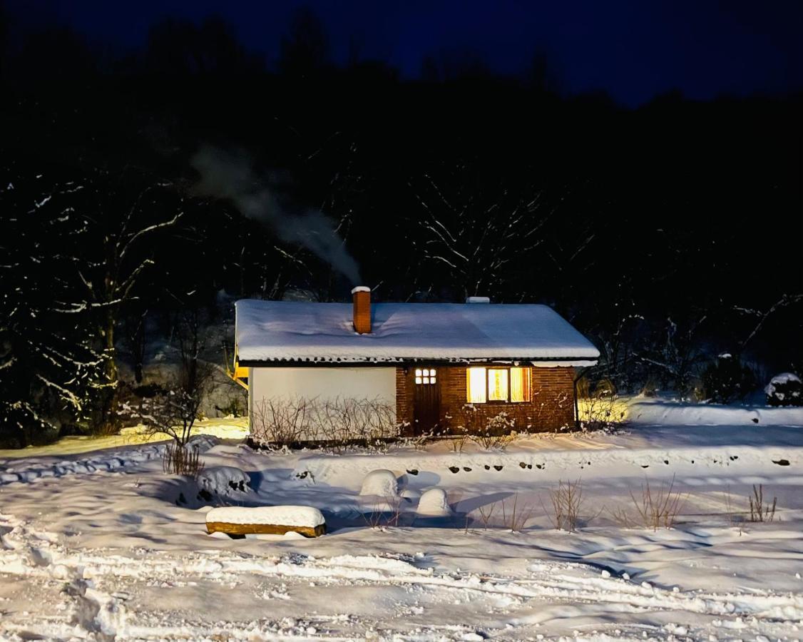 Holiday Home Usadba Novoselitsa Exteriör bild