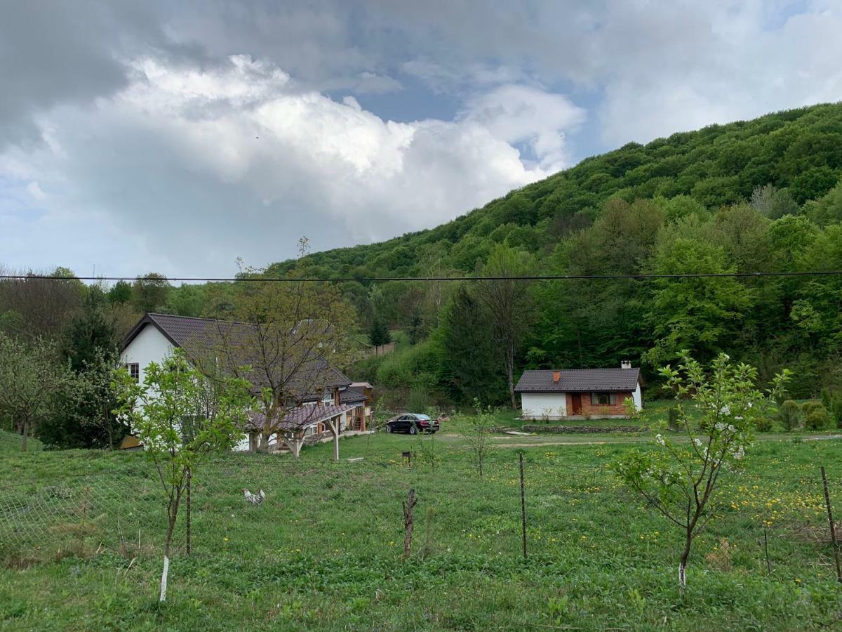 Holiday Home Usadba Novoselitsa Exteriör bild